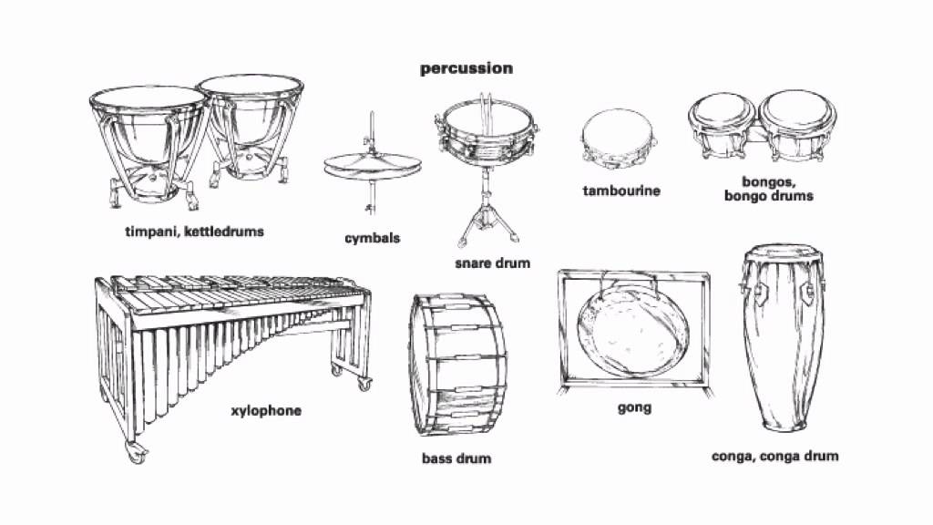 Ударные музыкальные инструменты картинки